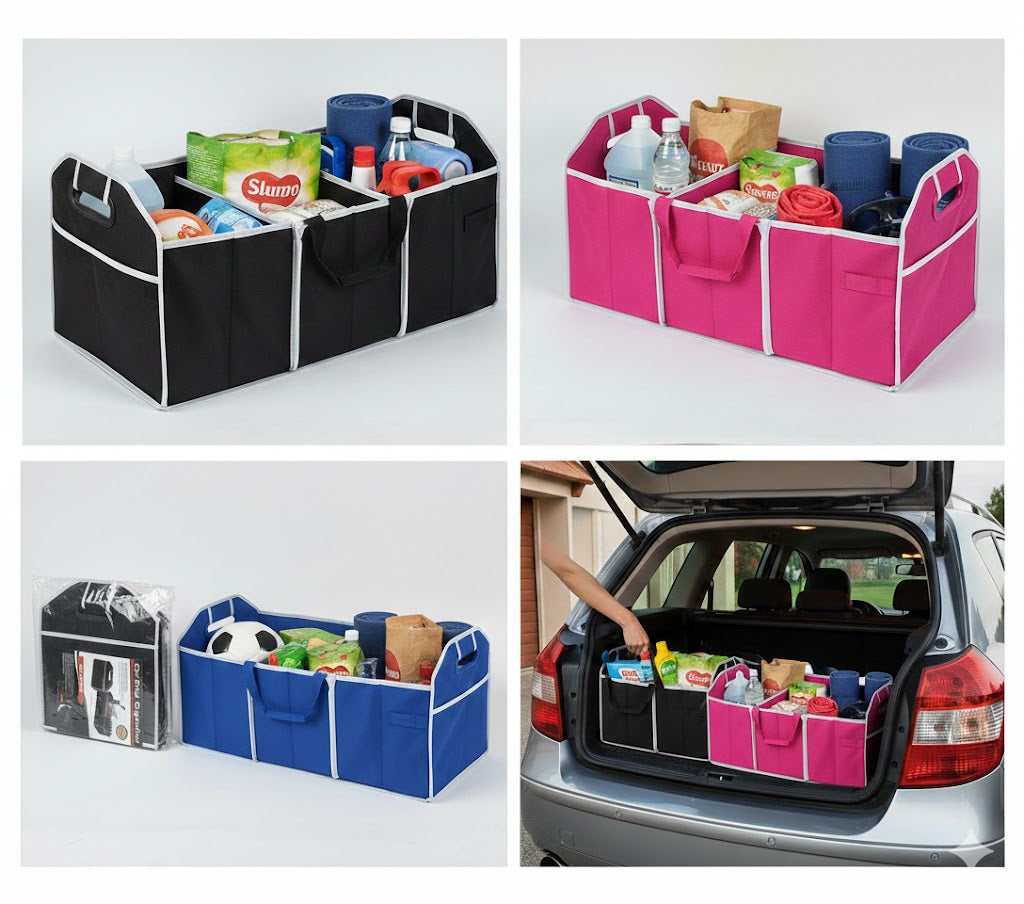 ORGANIZADOR DE VEHICULO