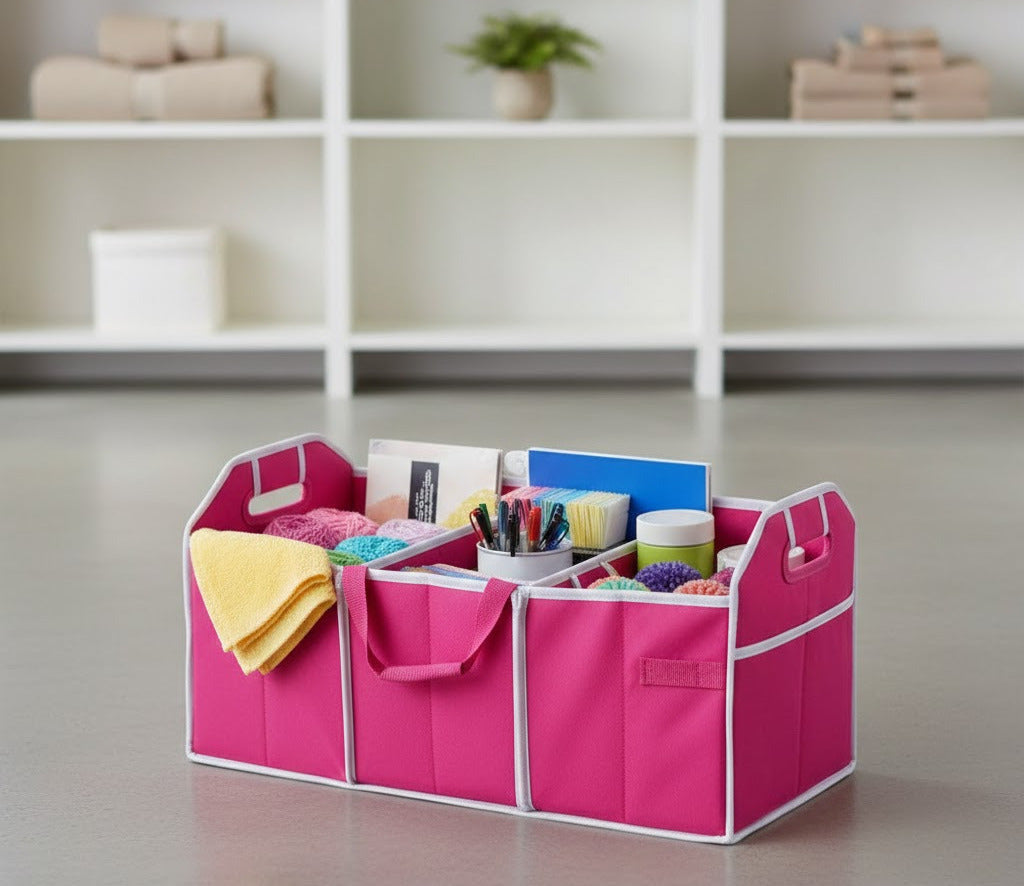 ORGANIZADOR DE VEHICULO